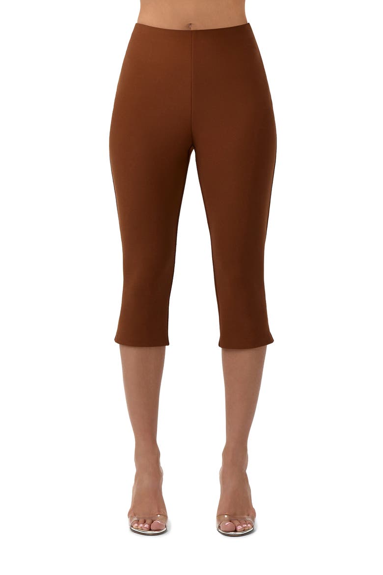 Suiting Capri Pants, Main, color, DARK MOCHA