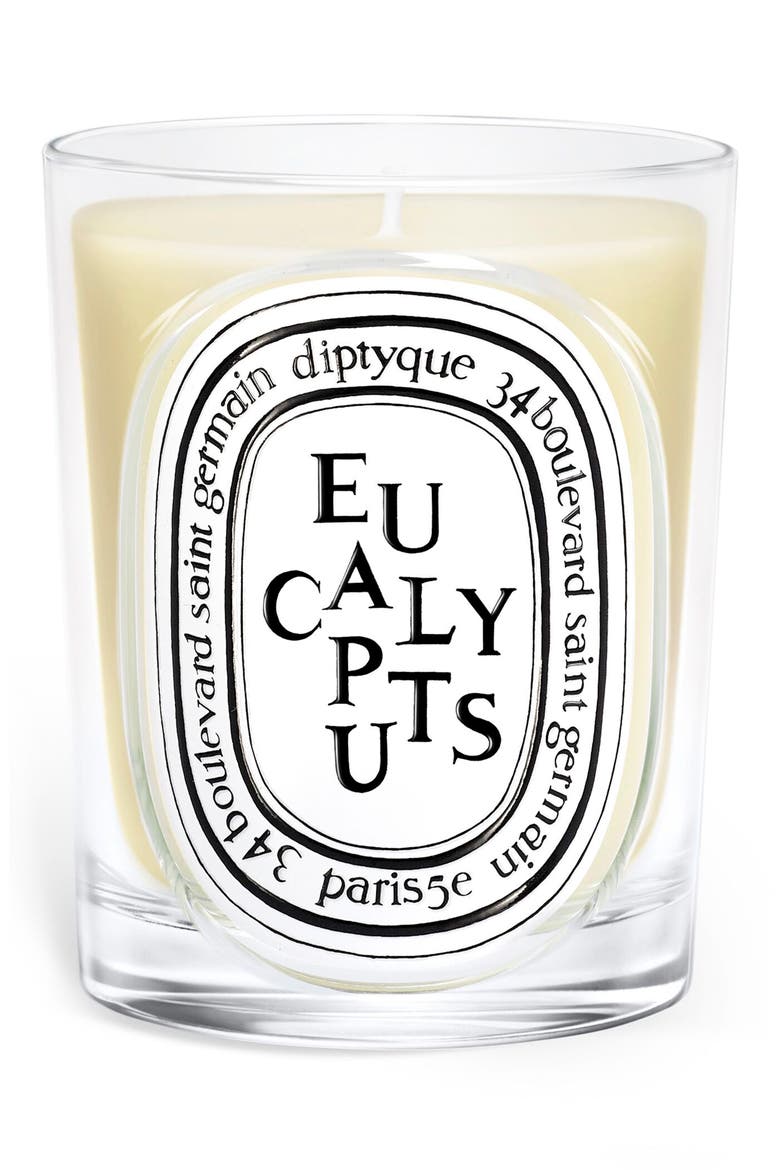 Eucalyptus Classic Candle, Main, color, NO COLOR