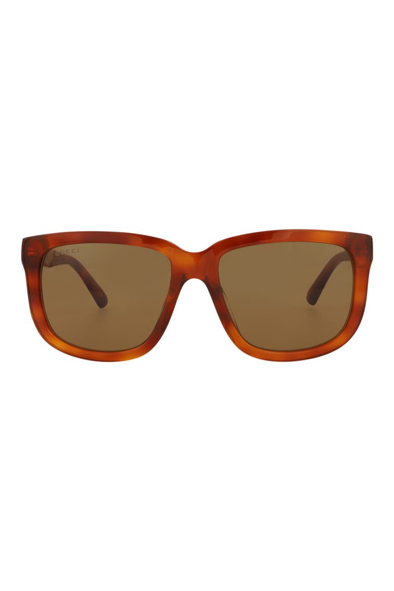 55mm Square Sunglasses, Main, color, HAVANA HAVANA BROWN