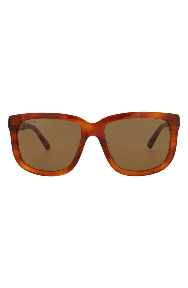 Gucci 55mm Square Sunglasses, Main, color, Havana Havana Brown