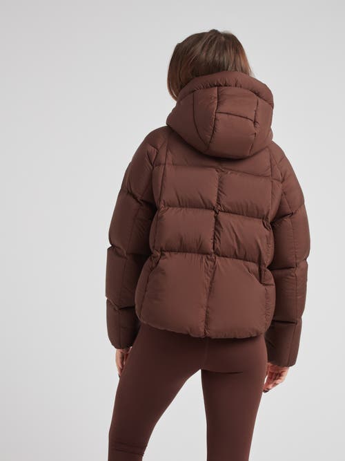 Jack1t Cloud Cropped Hooded Puffer Jacket In Brown