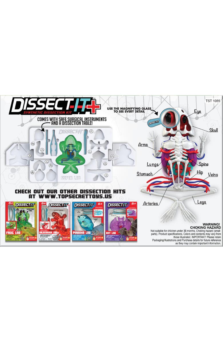 Dissect-It Deluxe Super Frog Lab, Kids, Alternate, color, Multicolored