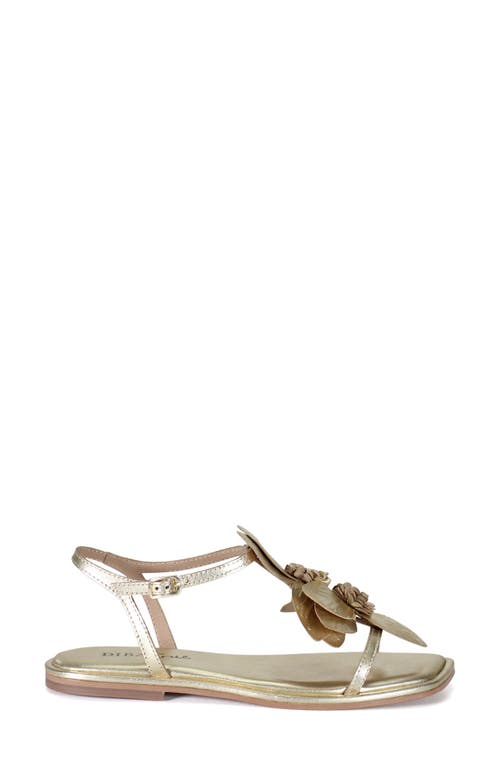 Diba True Per Shing Sandal In Gold