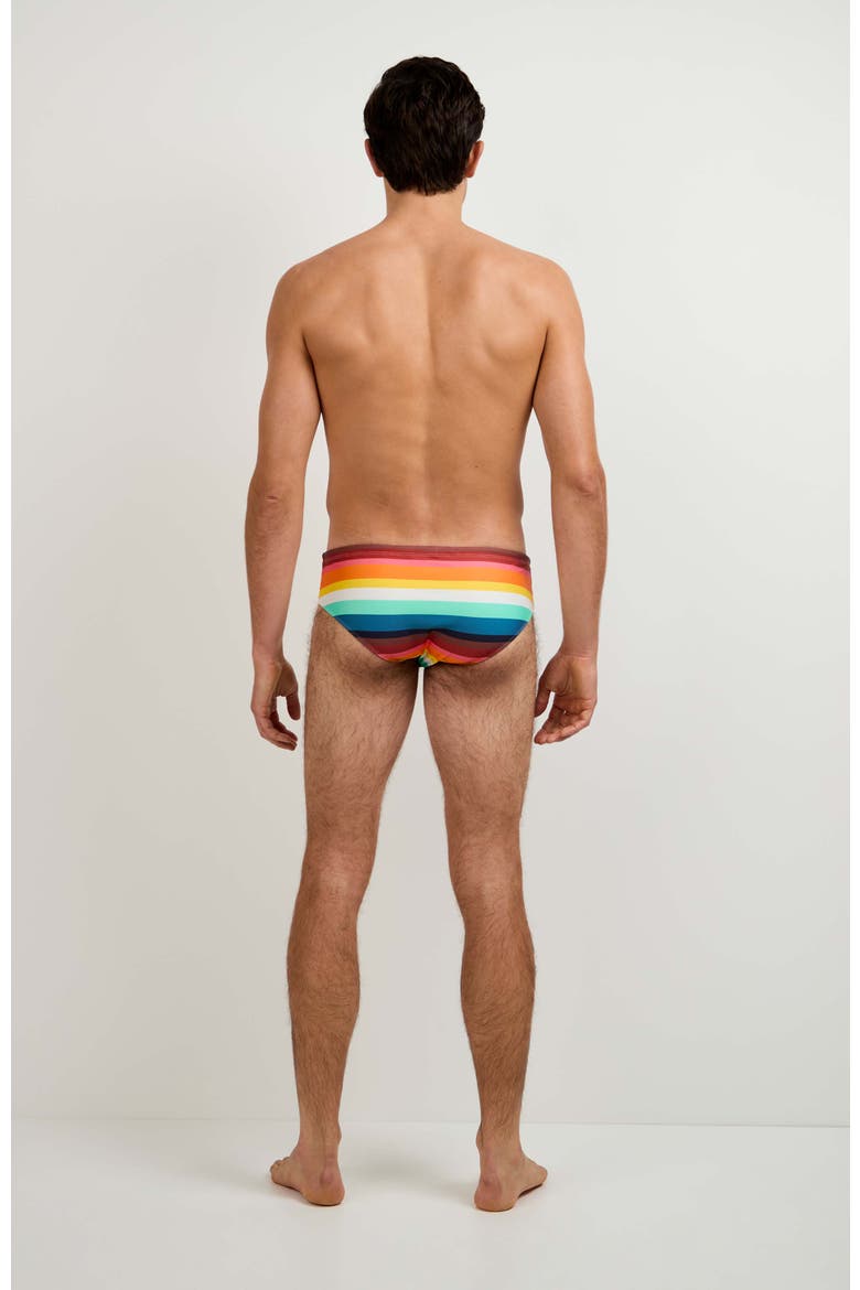 Bondi Stripe Swim Brief, Alternate, color, Siena