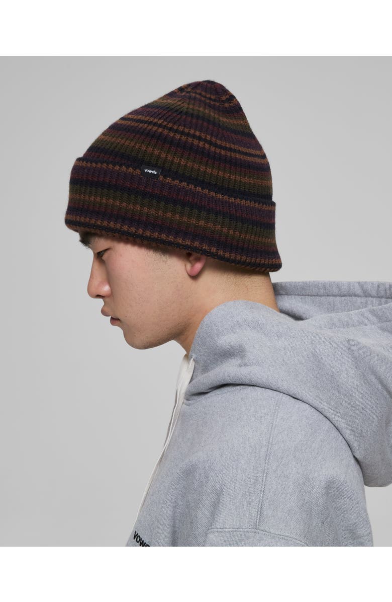 vowels Striped Wool Blend Beanie, Alternate, color, Brown