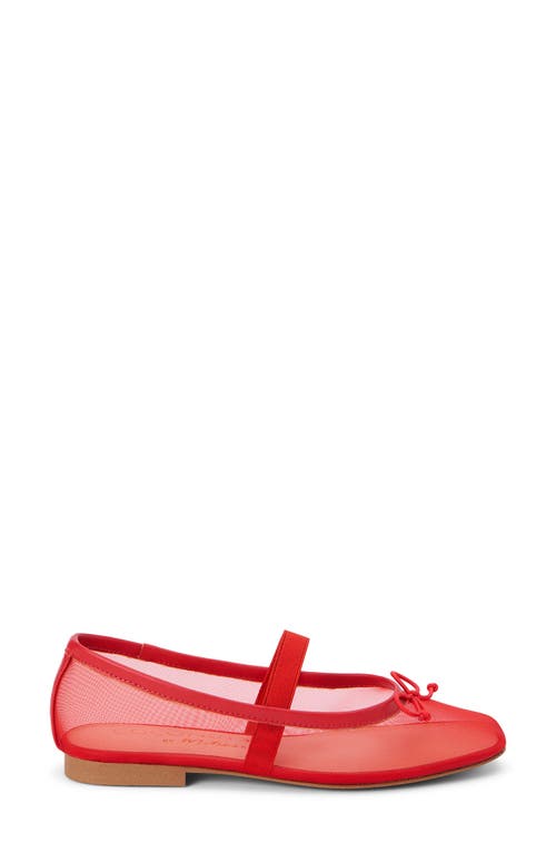 COCONUTS BY MATISSE COCONUTS BY MATISSE BRONX MESH BALLERINA FLAT