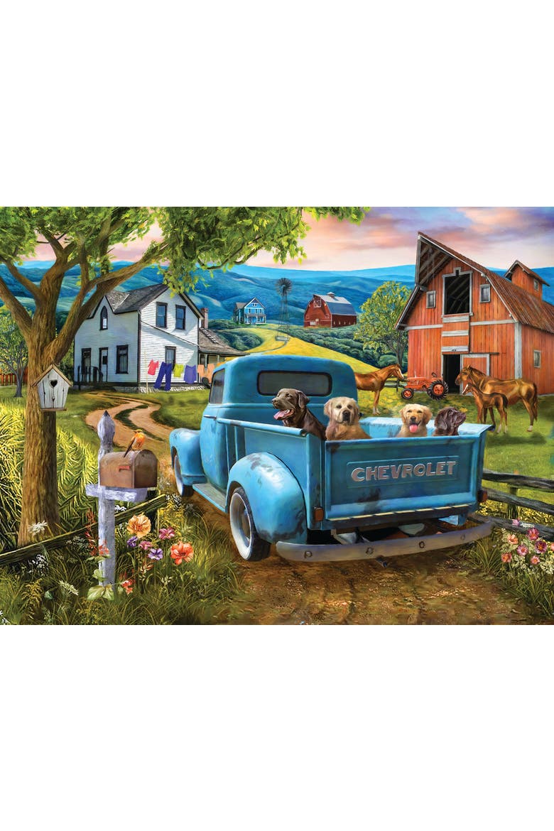 Joy Ride 300 piece Jigsaw Puzzle for Adults, Alternate, color, Multicolor