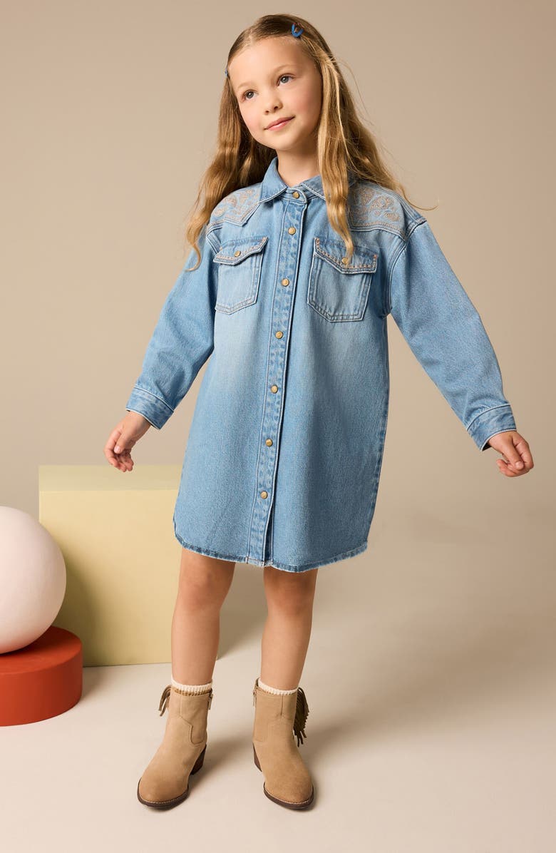 NEXT Kids' Embroidered Long Sleeve Denim Western Shirtdress, Alternate, color, 