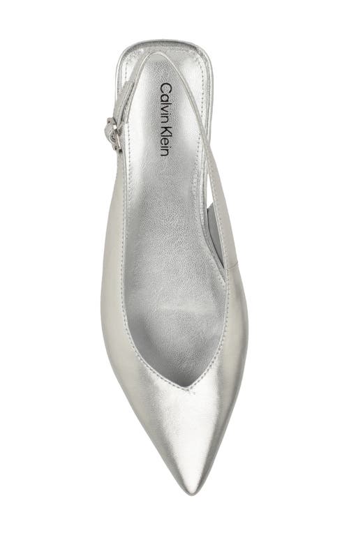 Calvin Klein Galiana Slingback Pointed Toe Flat