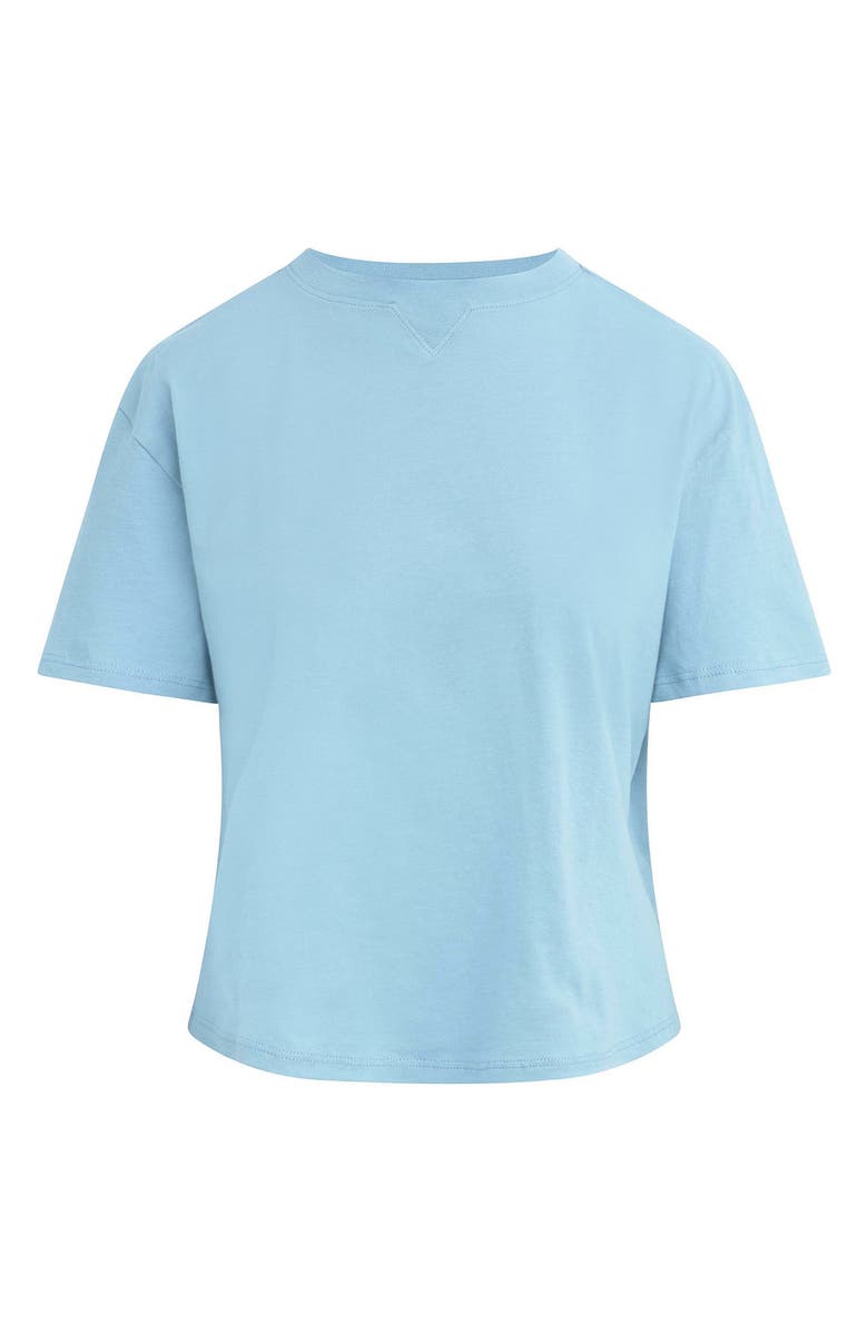 Favorite Daughter The Everyday Organic Cotton T-Shirt, Alternate, color, Sea Blue