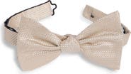 Nordstrom Metallic Pre-Tied Bow Tie