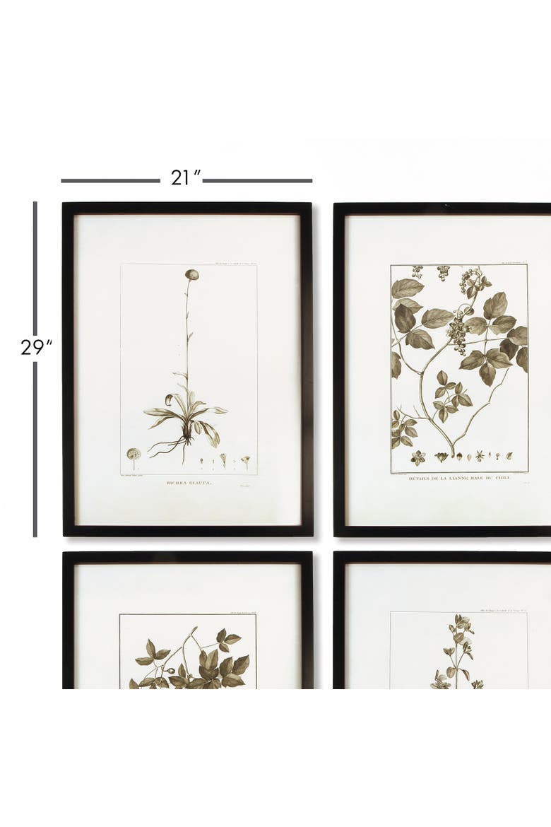 Framed Sepia-Tone Botanical Prints Set of 4, Alternate, color, Black