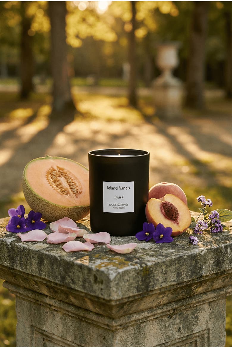 James - Bougie Parfumée Naturelle Candle, Alternate, color, none