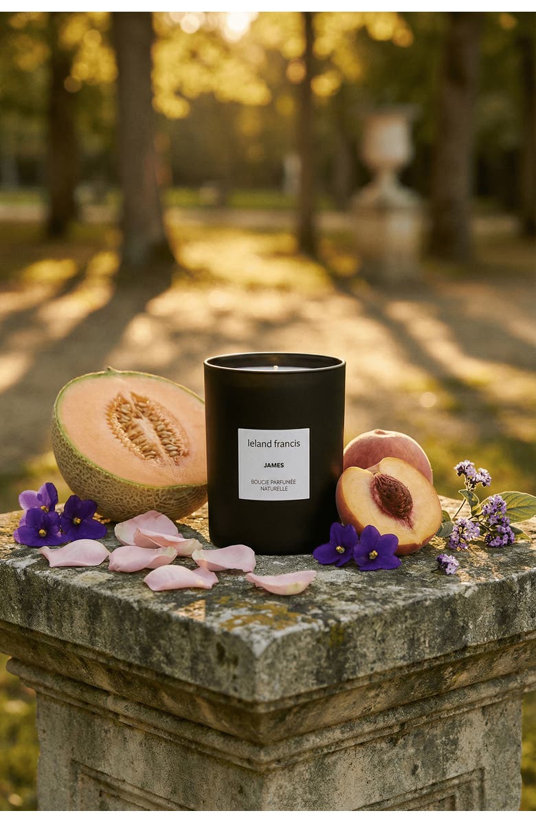 leland francis James - Bougie Parfumée Naturelle Candle, Alternate, color, NO COLOR