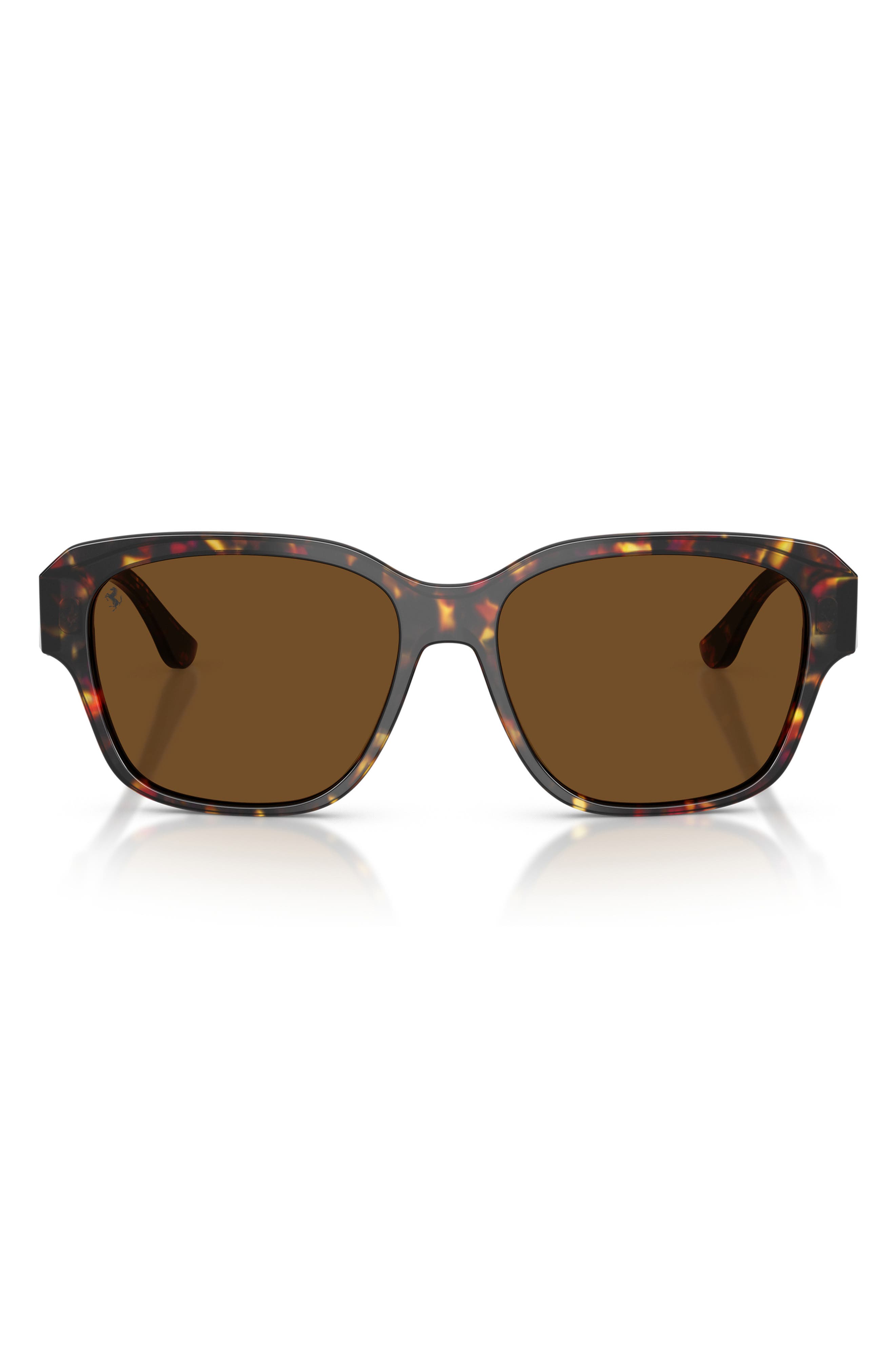 YELLOW TORTOISE / BROWN POLAR