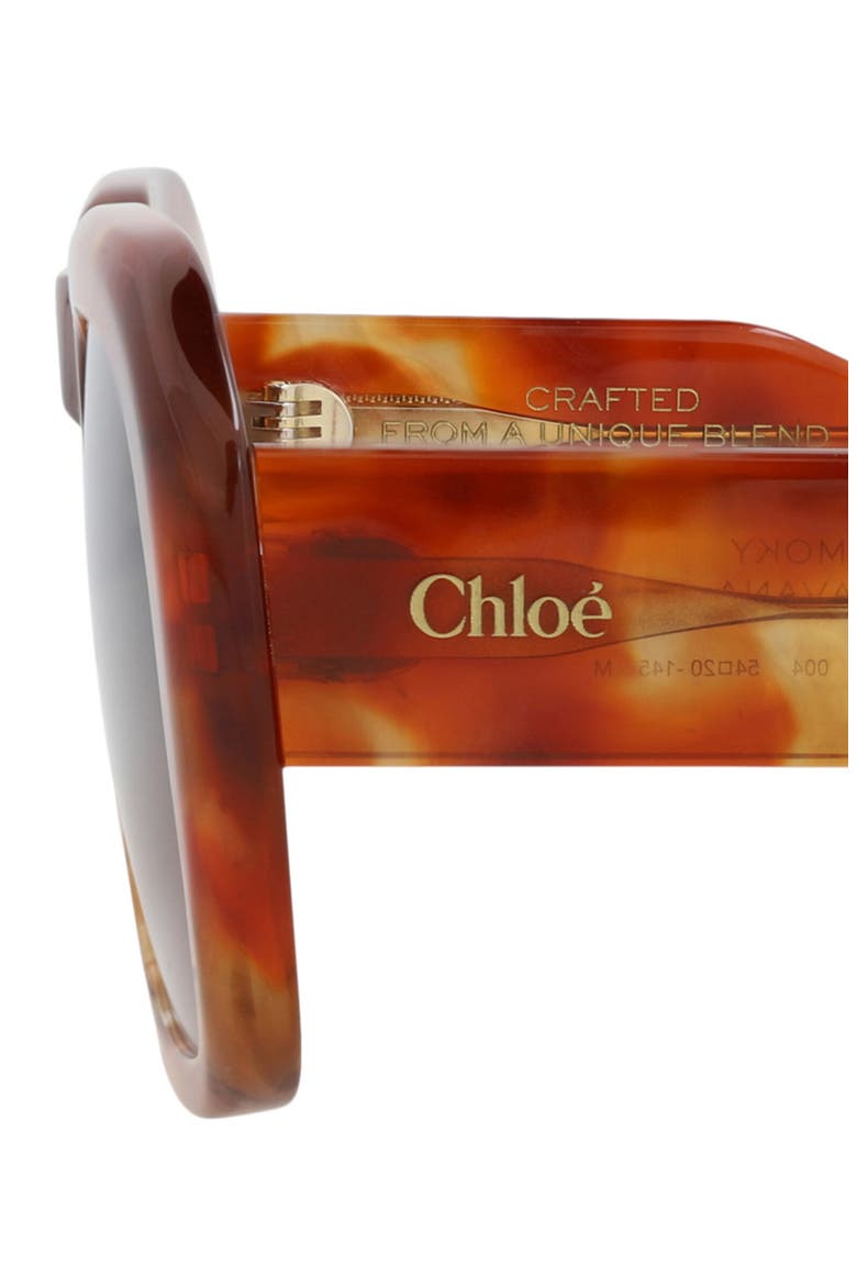 54mm Square Sunglasses, Alternate, color, HAVANA HAVANA RED
