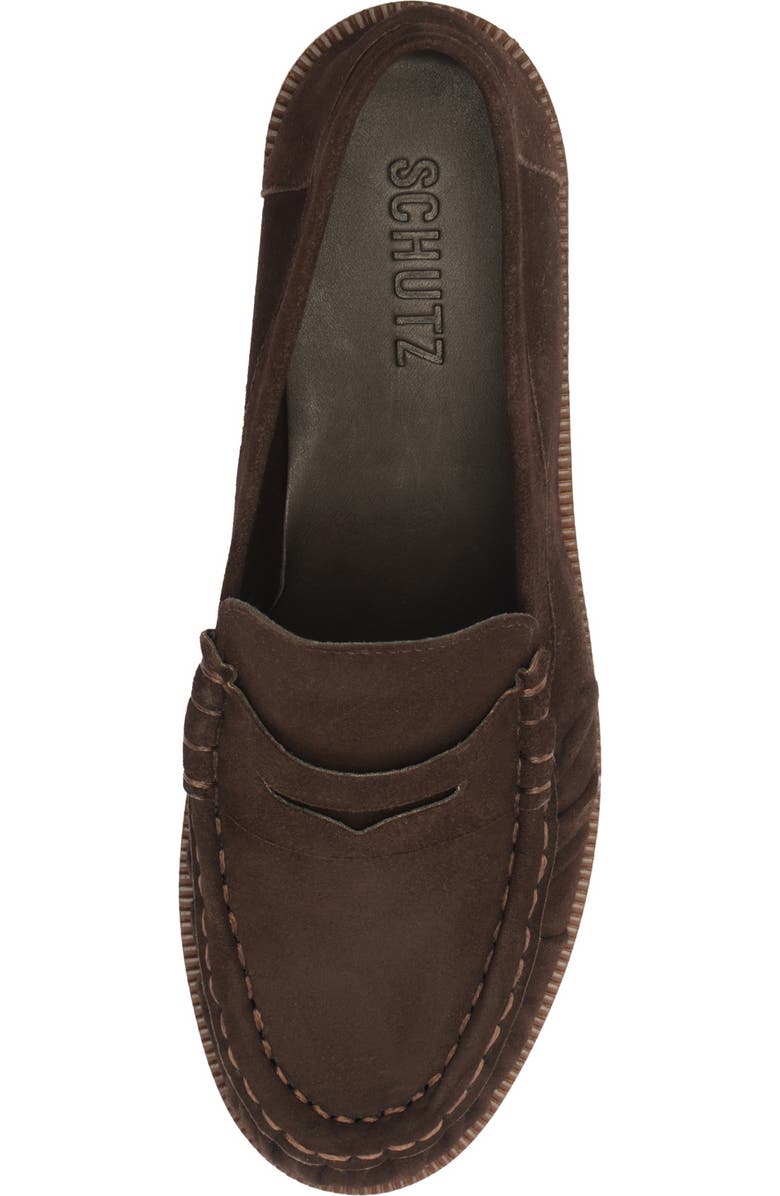 Schutz Tyche Penny Loafer, Alternate, color, Dark Brown