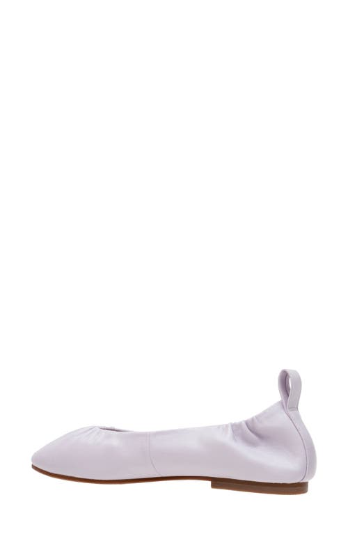 Linea Paolo Newry Ballet Flat