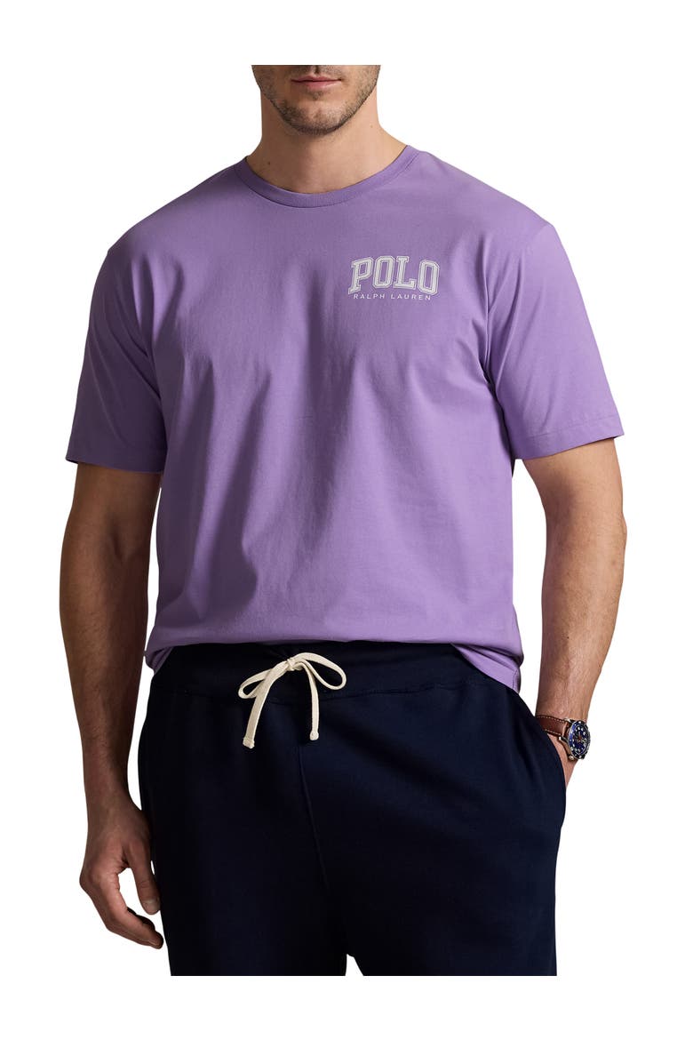 Big & Tall Logo Jersey T-Shirt, Main, color, LIGHT LILAC