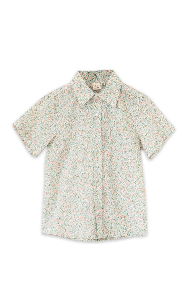 Beet World Boys Collar Shirt, Main, color, Pastel Green And Peach