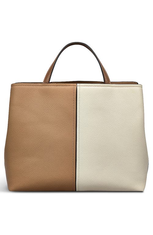 Radley Small Regents Row Colorblock Crossbody Bag In Brown