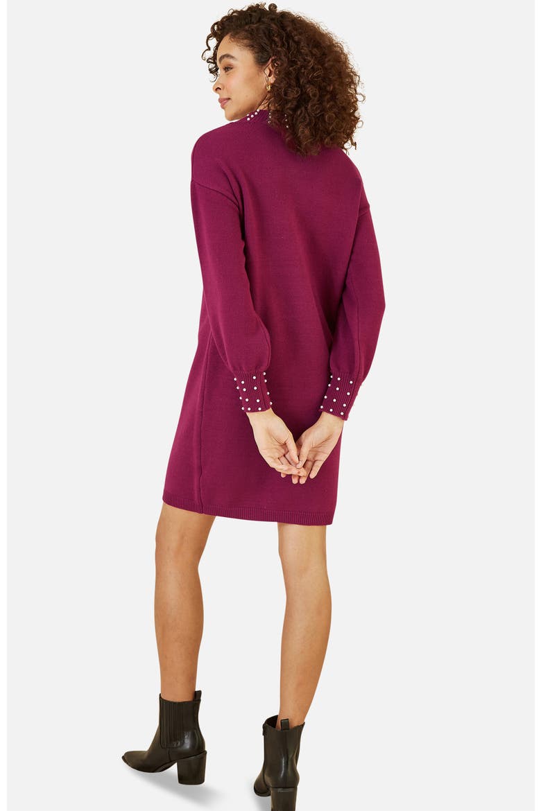 Bead Detail Knitted Sweater Dress, Alternate, color, Burgundy