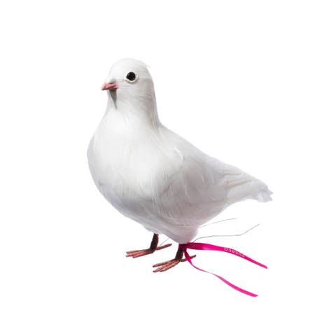 Artificial Birds / Dove
