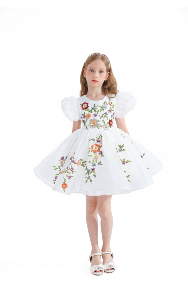 Tulleen Embroidered Puff Sleeve Dress, Main, color, White