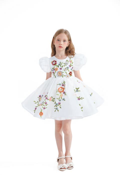 Embroidered Puff Sleeve Dress (Toddler, Little Kid & Big Kid)
