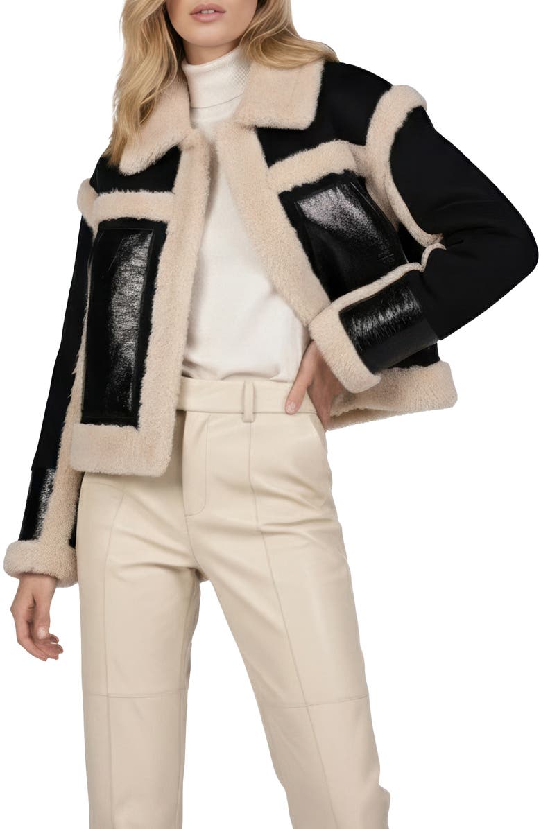 Lyla Grant Jacket With Fur-Free Shearling (Faux Fur) Trim, Alternate, color, Black/Beige