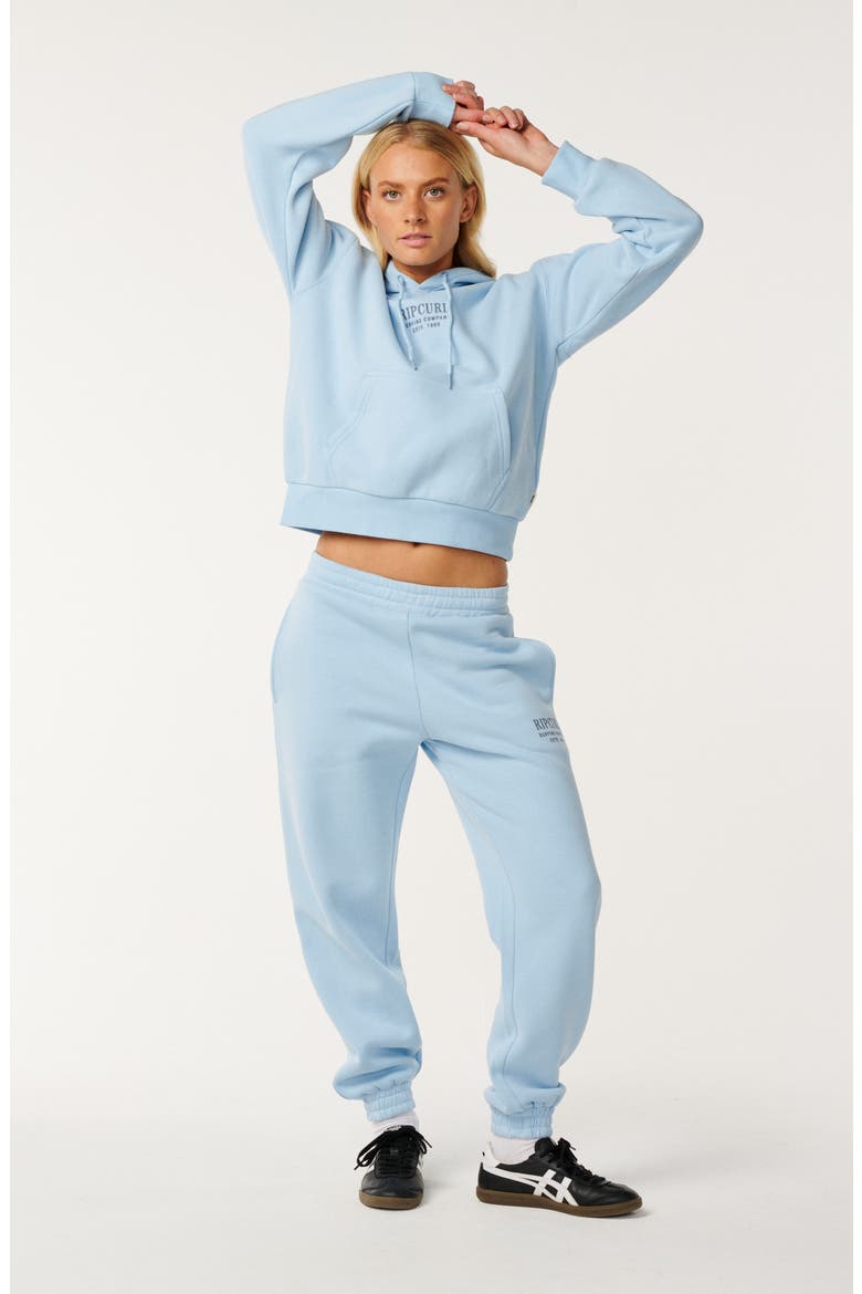 Surf Staple Relaxed Fit Cotton Blend Hoodie, Alternate, color, POWDER BLUE