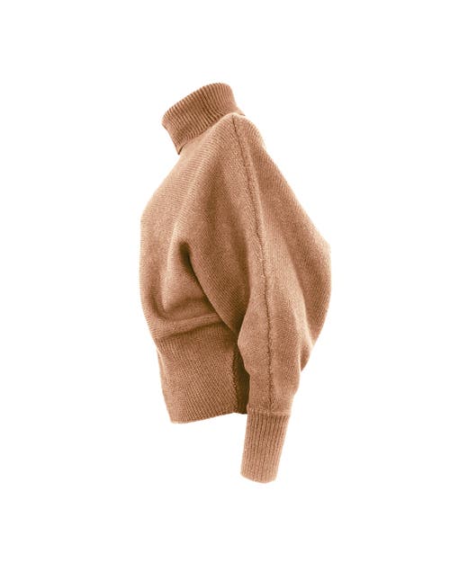 Theo The Label Pallas Dolman High-rib Turtleneck In Black