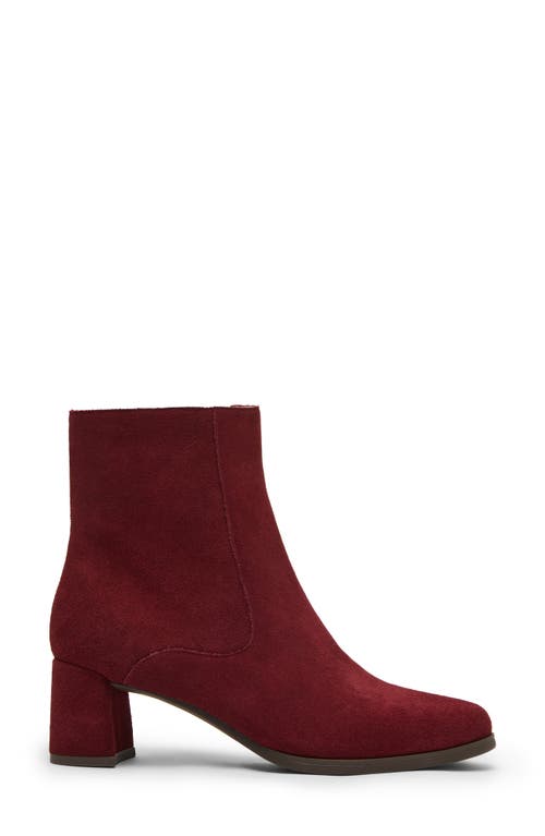 Blondo Hylia Waterproof Bootie In Burgundy
