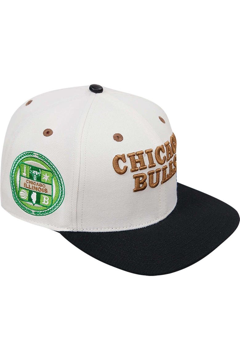 Men's Cream/Black Chicago Bulls Album Cover Snapback Hat, Main, color, Cream