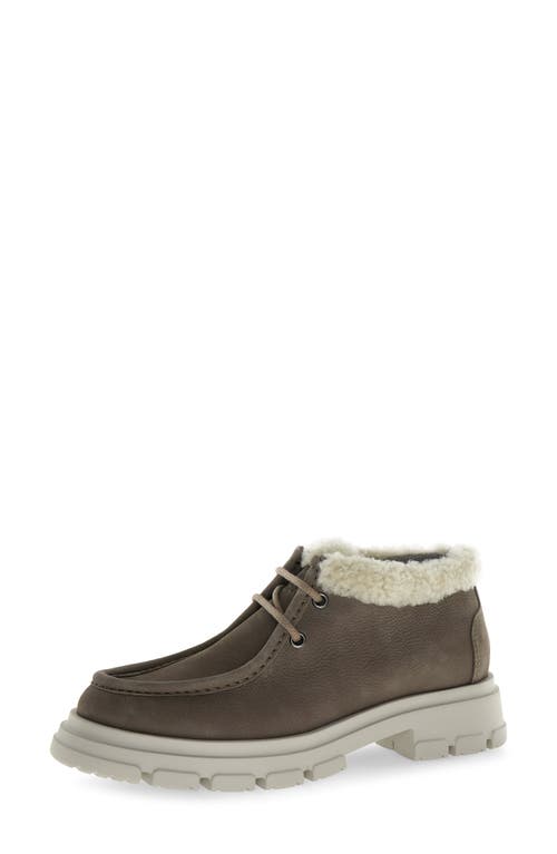 Candice Cooper Chado London Faux Shearling Bootie in Taupe  product