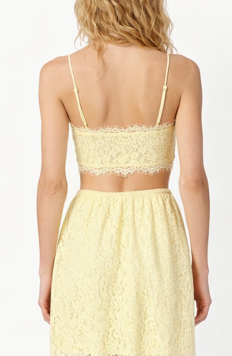 CAMI NYC Sofie Lace Crop Camisole, Alternate, color, Buttercup