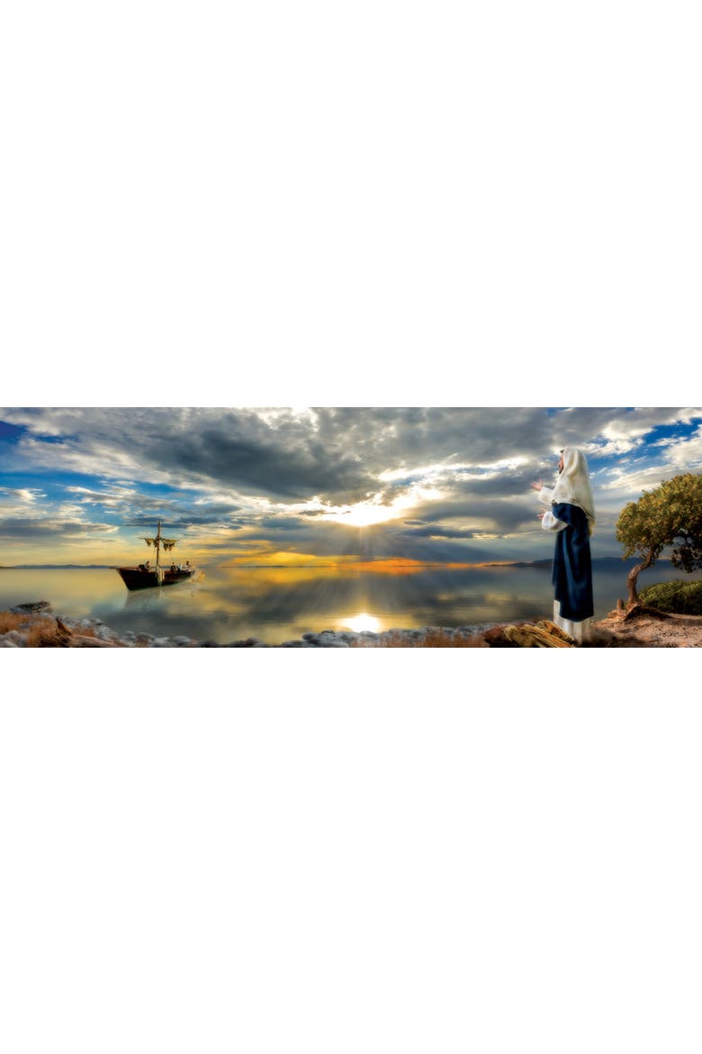 Cast Your Net 500 piece Jigsaw Puzzle for Adults Panoramic, Alternate, color, Multicolor