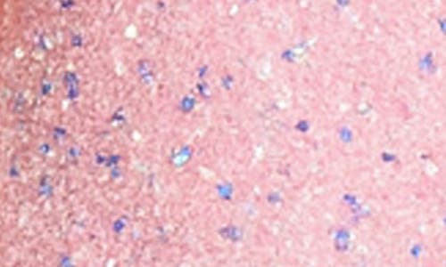 Zunie Kids' Sequin Puff Sleeve Velvet Party Dress In Pink