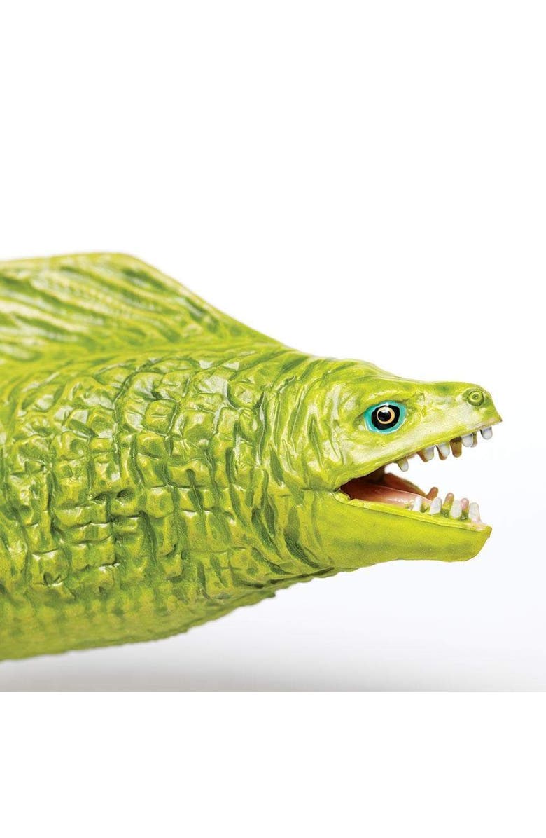 Safari Ltd. Moray Eel Toy, Alternate, color, NO COLOR