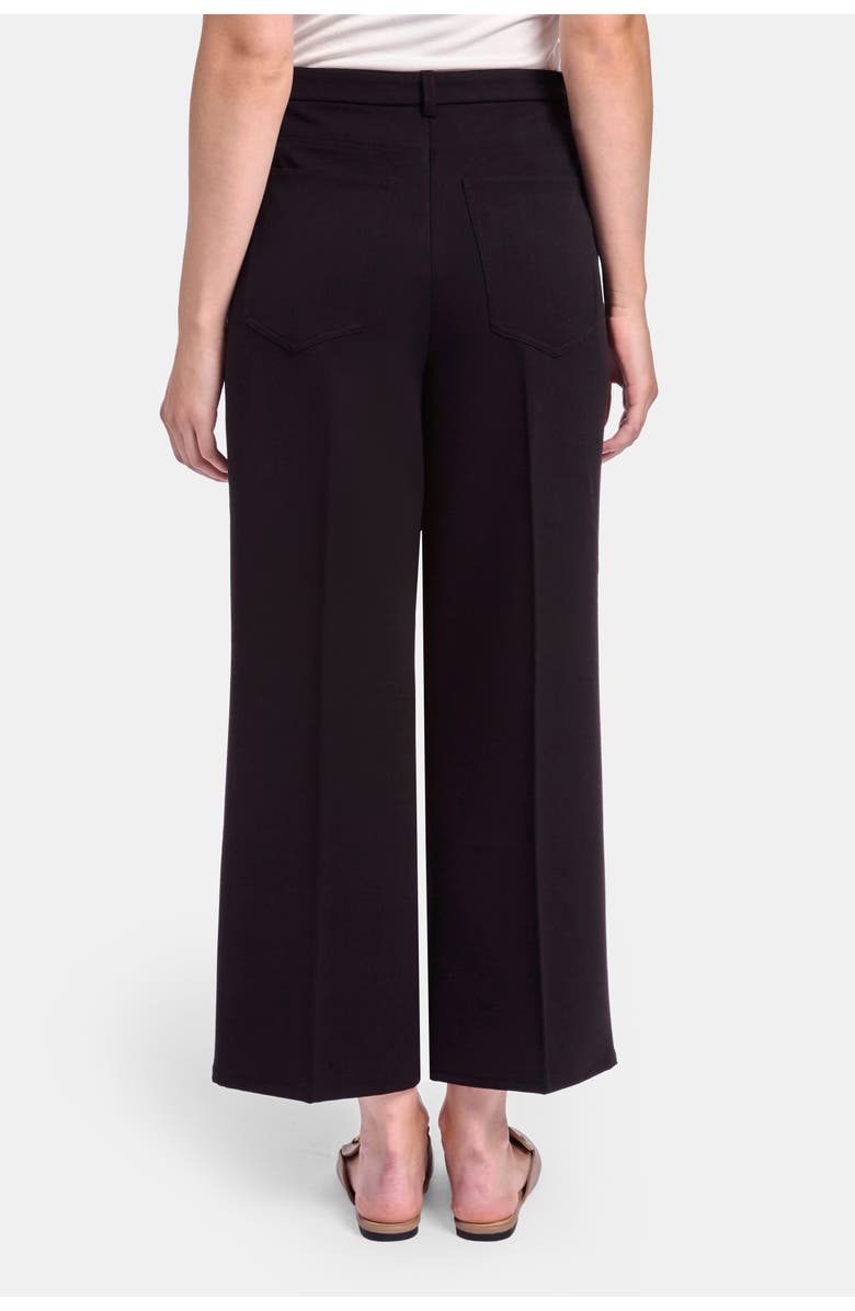 Capsule 158 The Rover Pant, Alternate, color, Black