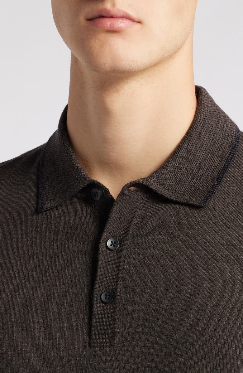 Robert Barakett Roman Long Sleeve Merino Wool Sweater Polo, Alternate, color, Brown