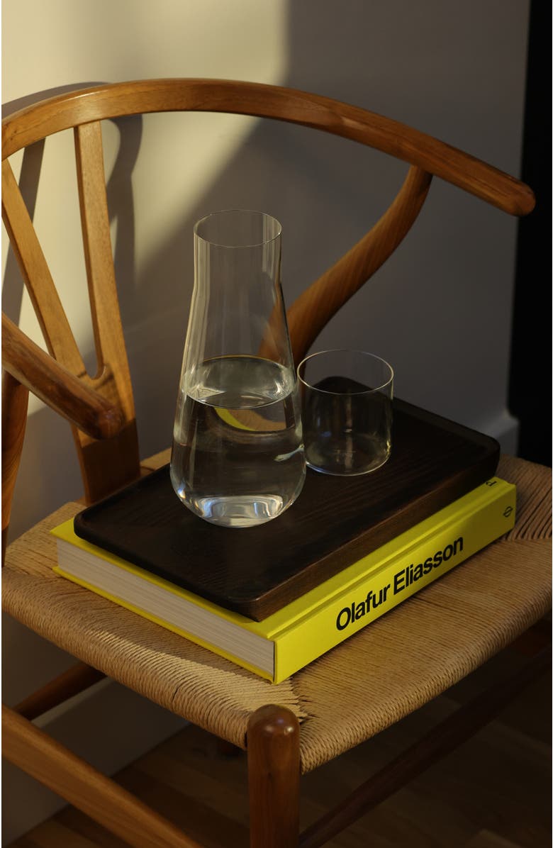 Fable Home Glass Carafe PRO, Alternate, color, Clear