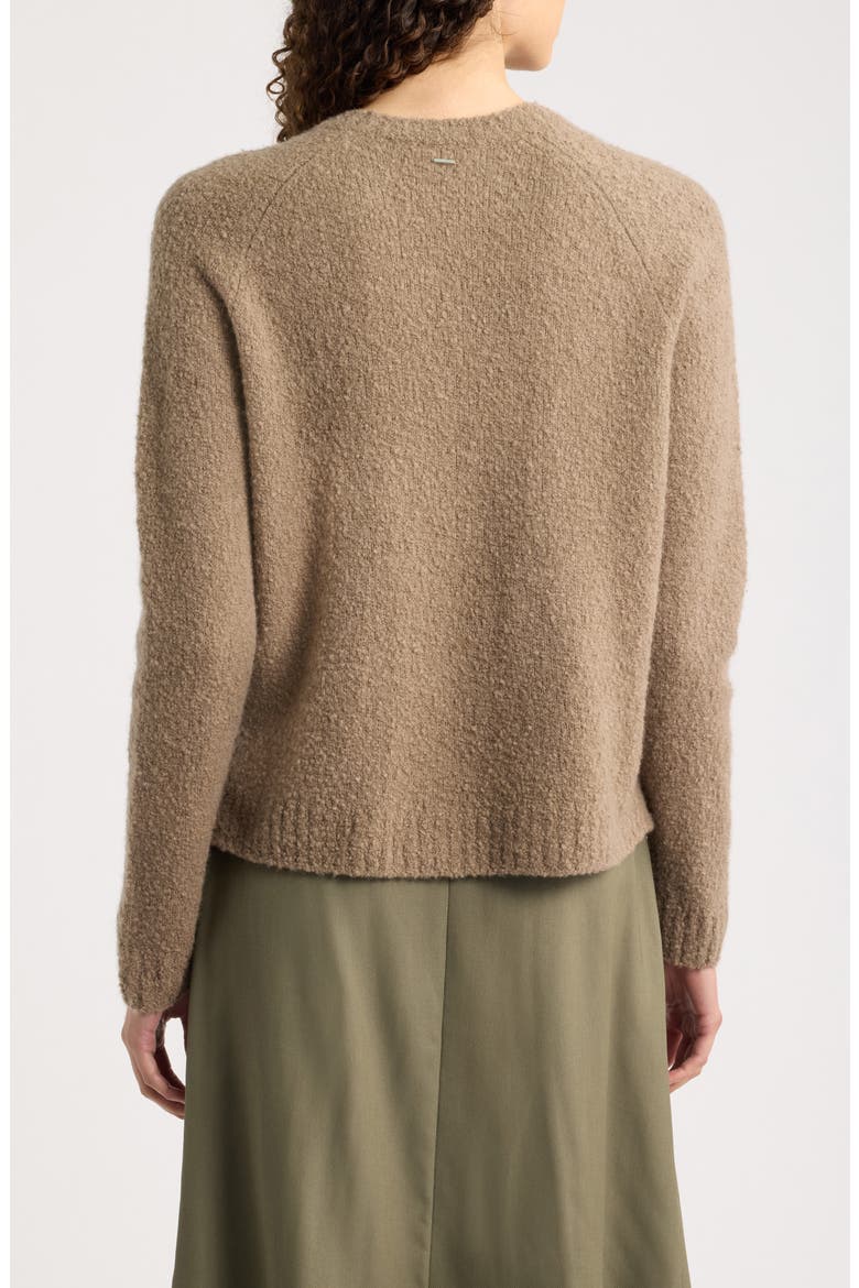 Febisana Wool and Cashmere Long Sleeve Sweater, Alternate, color, WALNUT