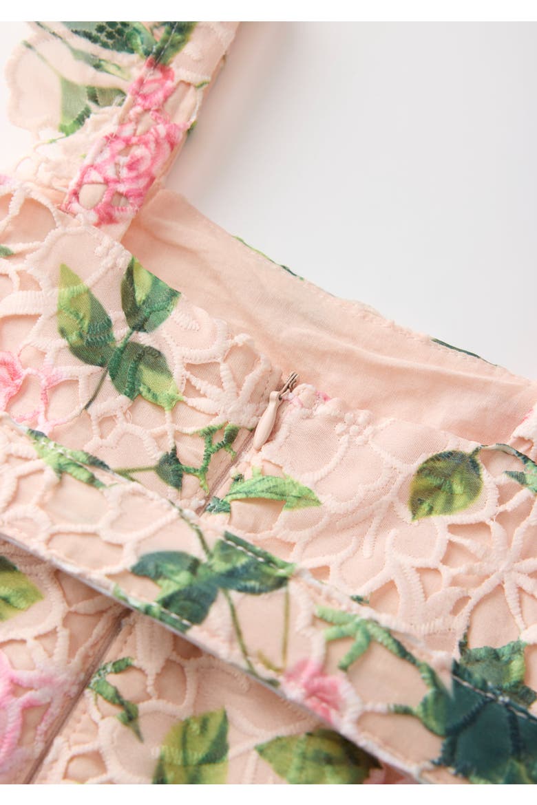 Leonora Embroidered Mini Dress, Alternate, color, Floral