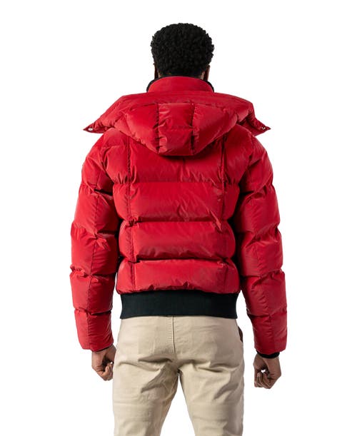 Woodpecker Woody Bomber Quilted Coat In Red