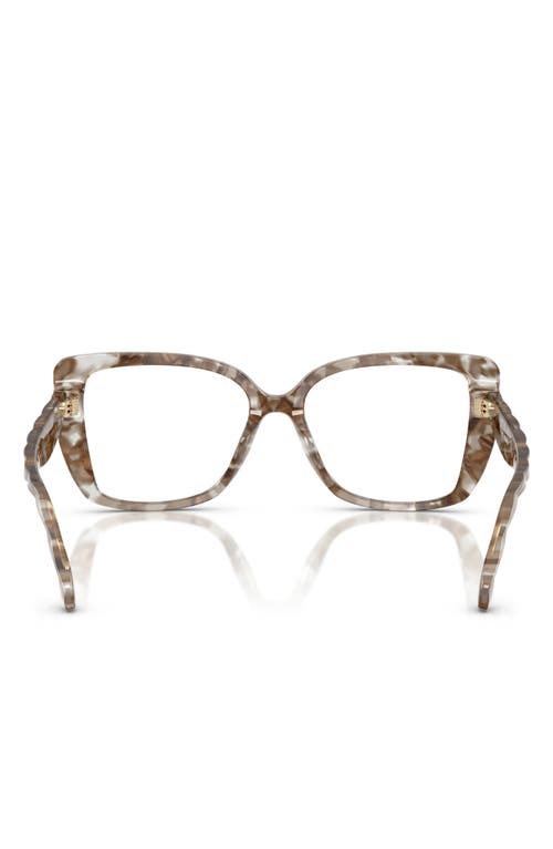 Tory Burch 53mm Square Optical Glasses In Brown Tortoise