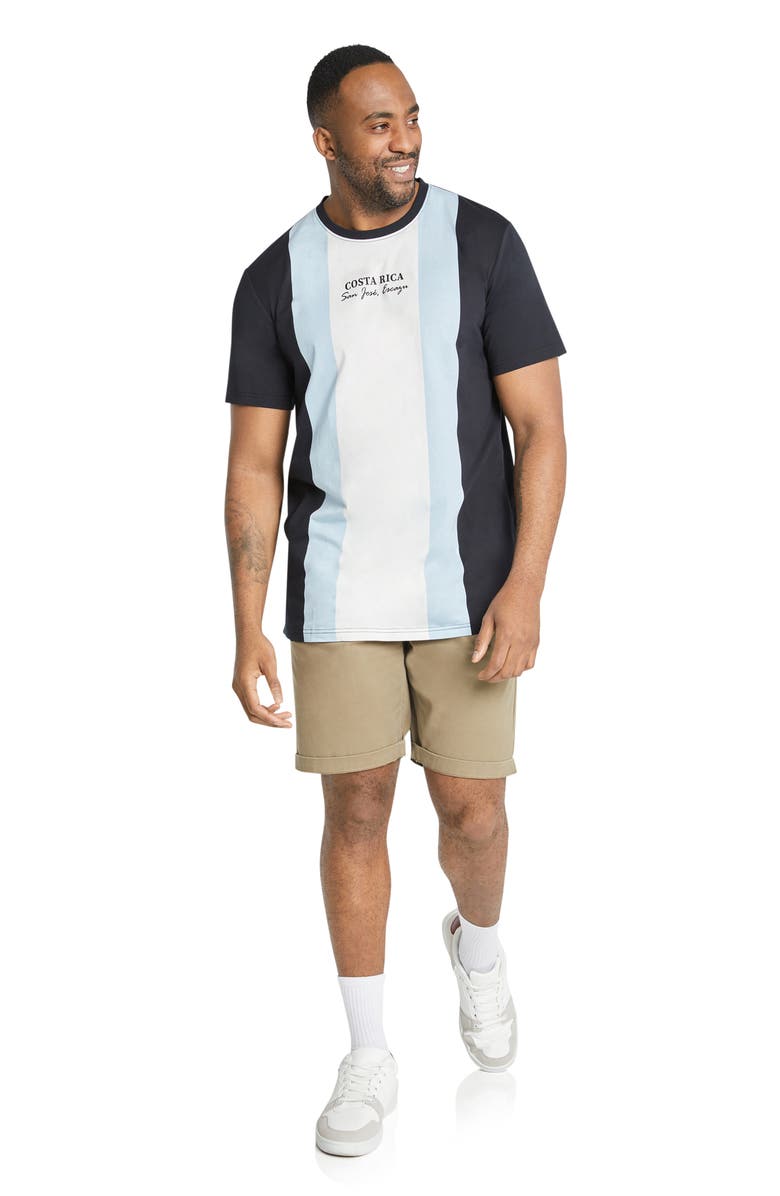 Johnny Bigg Vertical Stripe Colorblock Curve Hem Cotton T-Shirt, Alternate, color, 