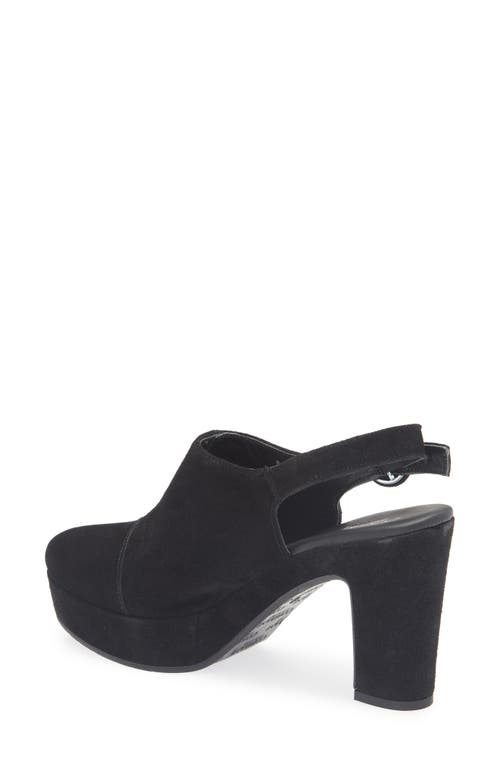 Cordani Tessa Block Heel Clog In Black