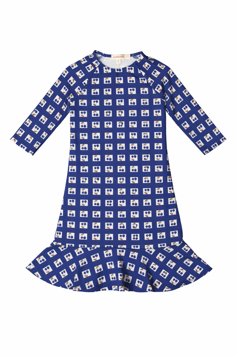 Checked Raglan Sleeve Flounce Hem Swim Dress (Little Kid & Big Kid)