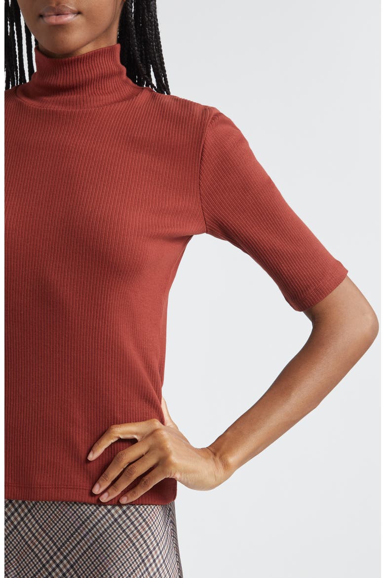 Rib Knit Turtleneck Top, Alternate, color, SIENA